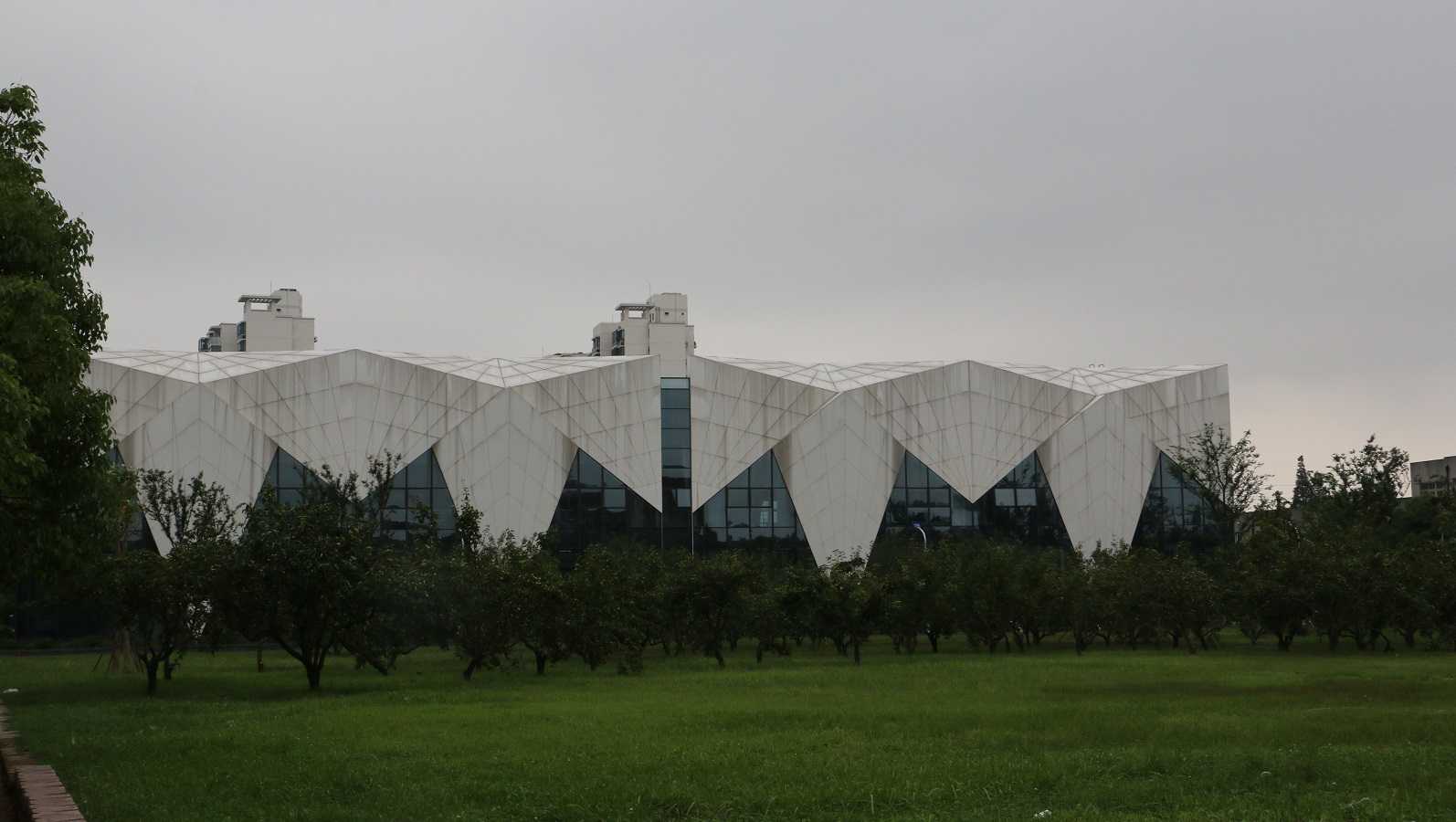 霸气侧漏的致远游泳馆